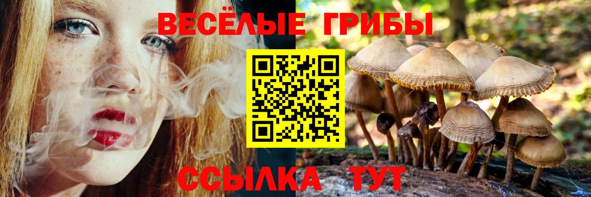 Псилоцибиновые грибы MAGIC MUSHROOMS Майкоп